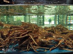 -徐记海鲜(梅溪新天地店)
