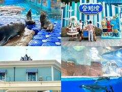 -海合安成都极地海洋公园