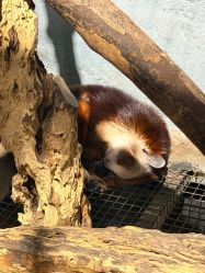 -Zoolung Zoolung动物主题公园(海信广场店)