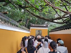 -普陀山慧济禅寺