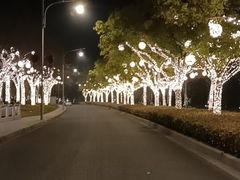 -阳澄湖费尔蒙酒店