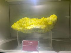 -甘肃地质博物馆