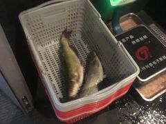 -老板恋上鱼(恒隆广场店)