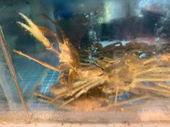 -碗中海·蒸汽海鲜·桑拿鸡(岭南天地店)
