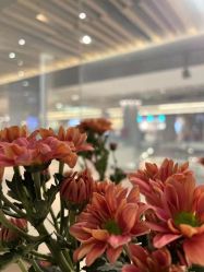 -LB·海菲秀牛奶光官方体验中心