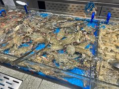-半岛听涛蒸汽海鲜自助(K11店)