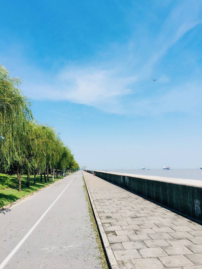 宝山城区值得一去的江边公园