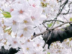 -上海黄浦旅游集散站售票处