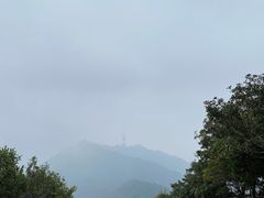 -梧桐山风景名胜区