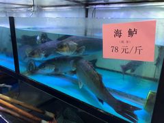 -联邦酒楼