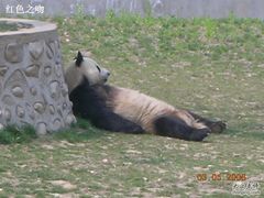 -西安秦岭野生动物园