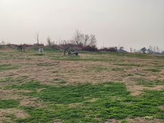 -两河城市森林公园