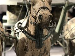 -秦始皇帝陵博物院(兵马俑)