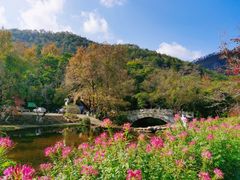 -广州市石门国家森林公园