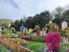 -上海共青森林公园