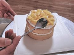 新鲜水果动物奶油生日蛋糕-漫生活烘焙·无糖蛋糕·动物奶油