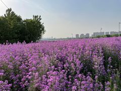 -西山漾湿地公园