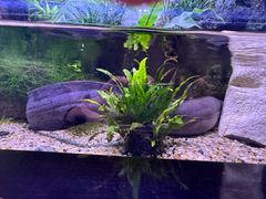 -上海海洋水族馆