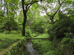 -灵顺寺