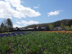 -富田农场