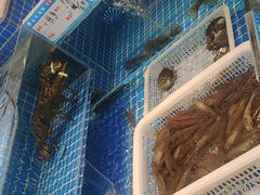 -徽三说·土徽菜·中国徽菜连锁品牌(一中店)