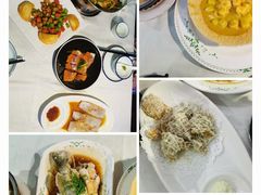 -云中小雅