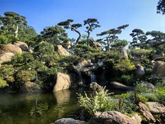 -罗红摄影艺术馆