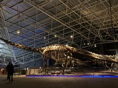 -世界恐龙谷景区