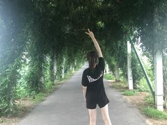 -荷花荡