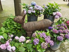 -上海共青森林公园