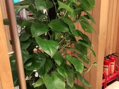 -解家河南菜(商鼎路店)