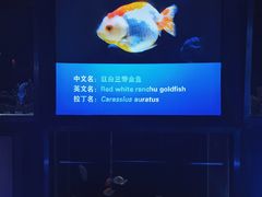 -厦门海底世界
