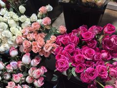 -循礼门鲜花花市(武汉循礼门店)