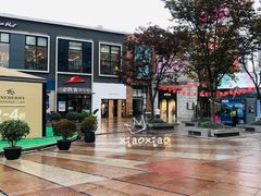 -证大大拇指广场(芳甸路店)