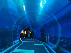 -成都浩海立方海洋公园