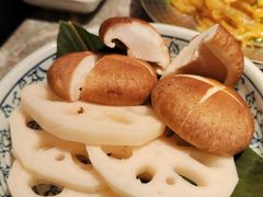 -禄婶鸡煲·打边炉