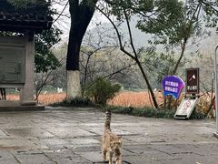 -八卦田遗址公园