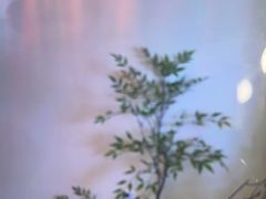 -涟LIAN·泰式按摩·MASSAGE·SPA(深业上城店)