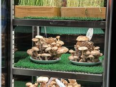 -捞王锅物料理(金华义乌之心店)