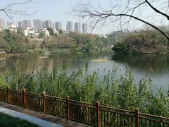 -重庆彩云湖湿地公园