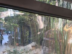 -陈熹公民族美食文化餐厅(中华广场店)