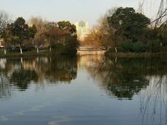 -沙市市中山公园