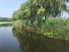 -白洋淀景区