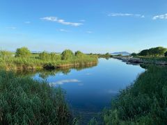 -太湖湖滨国家湿地公园-停车场