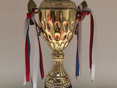 -奥冠体育华师附中恒温游泳馆