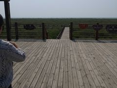 -北海金海湾红树林生态旅游区