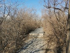 -元大都城垣遗址公园