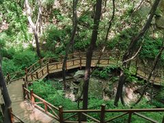 -大岭沟猕猴桃谷风景区