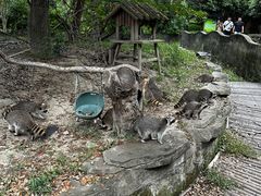 -宁波野生动物园