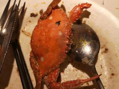 -星伦多自助料理(华润万象城店)